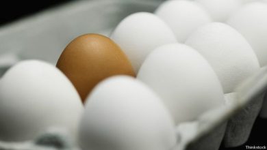 Photo of Gobierno dispone la venta de huevos a 3 pesos en Inespre